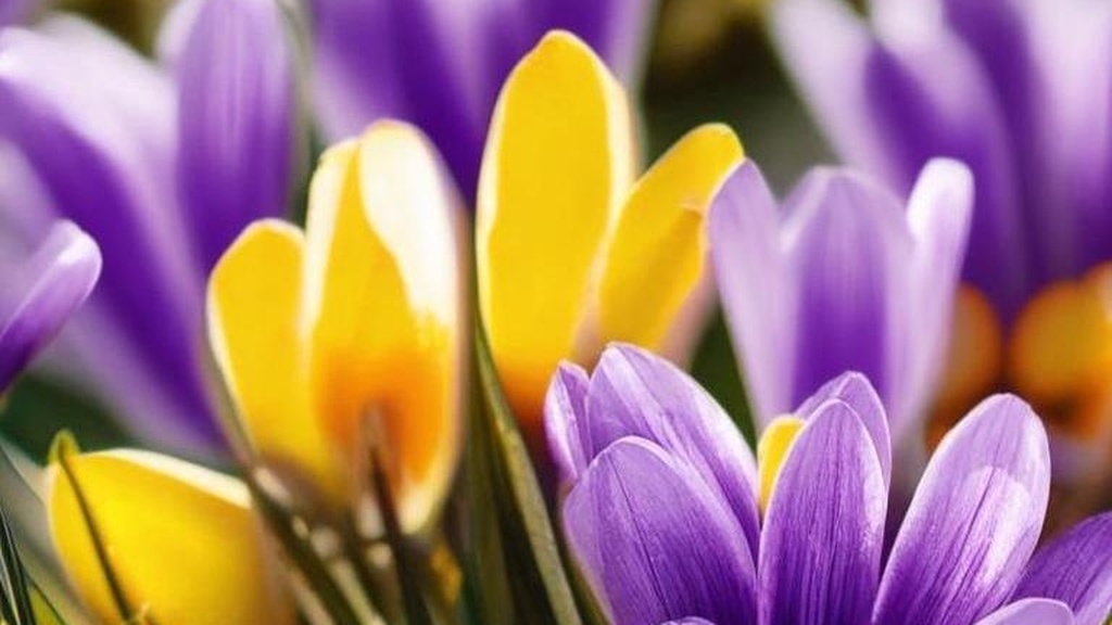 Featured image of post Можно ли заменить тренировку сексом: мифы и реальность